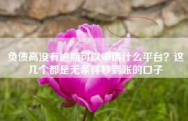 负债高没有逾期可以申请什么平台？这几个都是无条件秒到账的口子