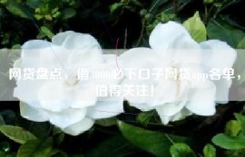 网贷盘点，借3000必下口子网贷app名单，值得关注！