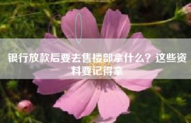 银行放款后要去售楼部拿什么？这些资料要记得拿