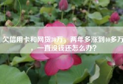 欠信用卡和网贷30万，两年多涨到40多万，一直没钱还怎么办？