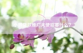 小额贷款推广大使招募什么？