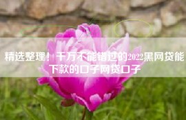 精选整理！千万不能错过的2022黑网贷能下款的口子网贷口子