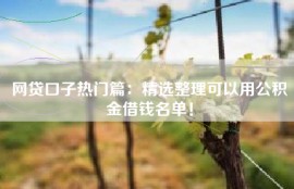 网贷口子热门篇：精选整理可以用公积金借钱名单！