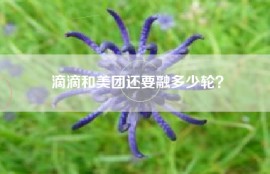 滴滴和美团还要融多少轮？