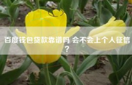 百度钱包贷款靠谱吗 会不会上个人征信？