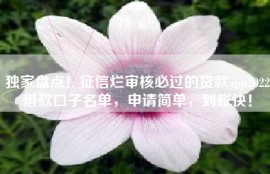 独家盘点！征信烂审核必过的贷款app2022借款口子名单，申请简单，到账快！