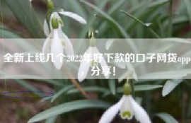 全新上线几个2022年好下款的口子网贷app，分享！