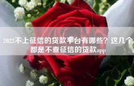 2022不上征信的贷款平台有哪些？这几个都是不查征信的贷款app