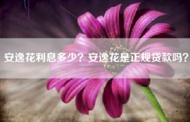 安逸花利息多少？安逸花是正规贷款吗？