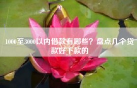 1000至3000以内借款有哪些？盘点几个贷款好下款的