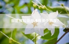 微信微粒贷开通有多少额度？