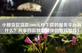 小额贷款贷款1000元秒下款的服务平台有什么？共享四款放款极快的借钱软件！