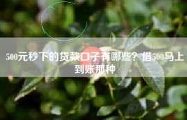 500元秒下的贷款口子有哪些？借500马上到账那种