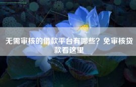 无需审核的借款平台有哪些？免审核贷款看这里
