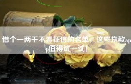 借个一两千不看征信的名单，这些贷款app值得试一试！