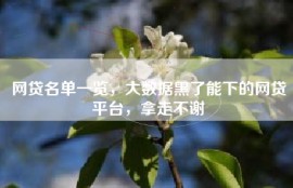 网贷名单一览，大数据黑了能下的网贷平台，拿走不谢