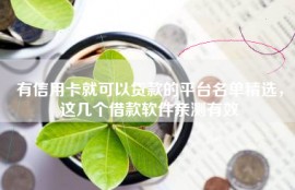 有信用卡就可以贷款的平台名单精选，这几个借款软件亲测有效