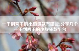 一千到两千的小额贷款有哪些?分享几个一千到两千的小额贷款平台