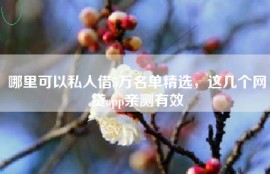 哪里可以私人借5万名单精选，这几个网贷app亲测有效
