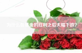 为什么在基金的红利之后大幅下跌？