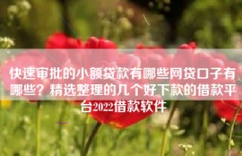 快速审批的小额贷款有哪些网贷口子有哪些？精选整理的几个好下款的借款平台2022借款软件