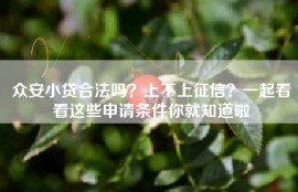 众安小贷合法吗？上不上征信？一起看看这些申请条件你就知道啦