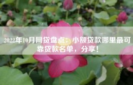 2022年10月网贷盘点：小额贷款哪里最可靠贷款名单，分享！