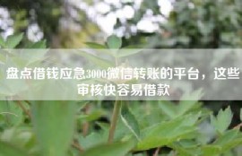 盘点借钱应急3000微信转账的平台，这些审核快容易借款