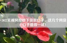 2022无视风控秒下贷款口子，这几个网贷口子值得一试！
