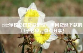 2022审核必过贷款整理：黑网贷能下款的口子名单，盘点分享！