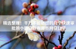 精选整理！千万不能错过的几个快速审批的小额贷款有哪些网贷口子