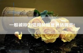 一般被称为信用风险是包括哪些?