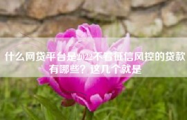 什么网贷平台是2022不看征信风控的贷款有哪些？这几个就是