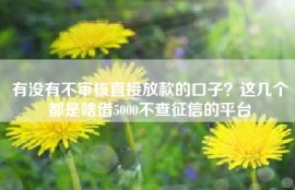有没有不审核直接放款的口子？这几个都是啥借5000不查征信的平台