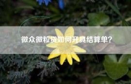 微众微粒贷如何开具结算单？