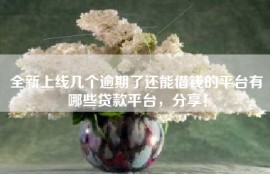 全新上线几个逾期了还能借钱的平台有哪些贷款平台，分享！
