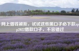 网上借钱被拒，试试这些黑口子必下款app2022借款口子，不容错过