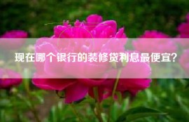 现在哪个银行的装修贷利息最便宜？