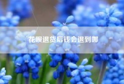 花呗退货后钱会退到哪