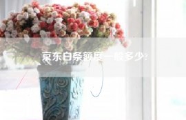 京东白条额度一般多少?
