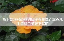 能下款2000至3000的口子有哪些？盘点几个借款口子好下款的