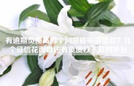 有逾期负债高哪个网贷能申请借款？几个征信花而且还有负债秒下款的平台