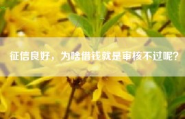 征信良好，为啥借钱就是审核不过呢？