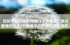 贷款平台好下款网贷口子有哪些？精选整理的几个5个容易下款的借款平台贷款app