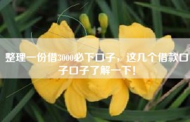 整理一份借3000必下口子，这几个借款口子口子了解一下！