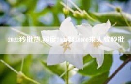 2022秒批贷,额度7000到50000来人就秒批