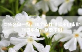 网贷名单一览，哪个软件借款不用审批网贷平台，拿走不谢
