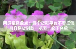 网贷精选盘点：哪个贷款平台不看征信最容易贷到款一览表，必下名单