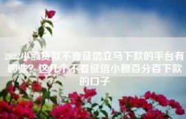 2022小额贷款不查征信立马下款的平台有哪些？这几个不看征信小额百分百下款的口子