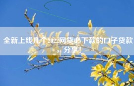 全新上线几个2022网贷必下款的口子贷款，分享！